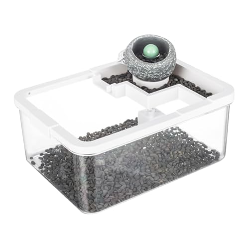 Décoration de table basse avec aquarium connecté USB pour bureau zen - 2