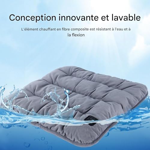 Coussin de Bureau Chauffant Haute Performance, Confort Premium pour Voyages