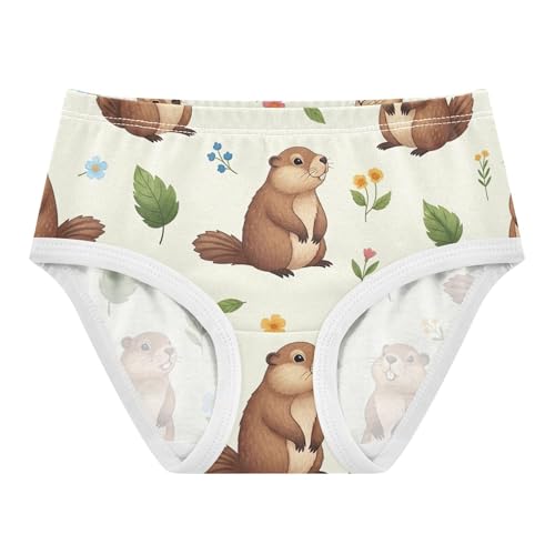 Cute Groundhogs Floral Beige Panties Little Girl Girls Underwear Toddler Cotton Cartoon Briefs Undies Kids 2t