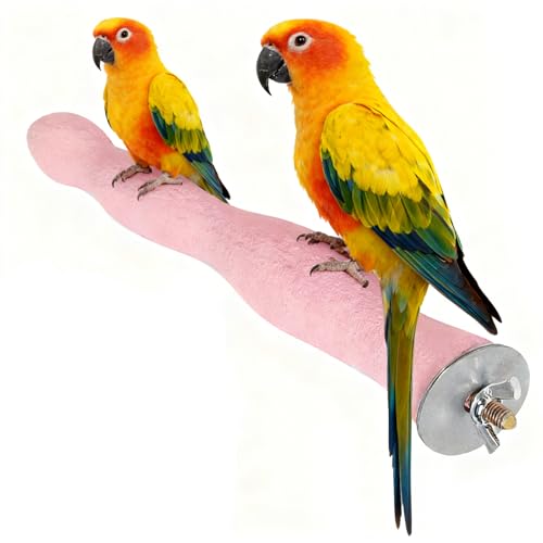 Image of Bird Perch Parrot Stand, Wooden Stick Paw Grinding Rough-surfaced Chew Toy for Birds Parrots Cockatiels Cockatoo Lorikeet Conure Parakee Cage Accessories, 8.7 inch,Pink