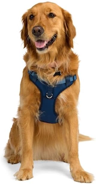 EveryYay by Petco Step in Dog Harness Navy Medium