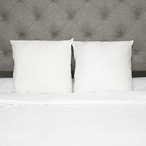 Sweet Home Collection Down Alternative Hypo-Allergenic Polyester Square Euro Stuffer Pillow Insert, 20