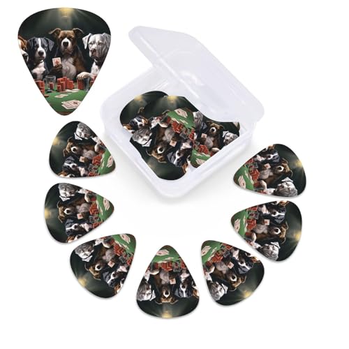 vC|[J[ hbO M^[sbN 12pbN 3̈قȂ p[\iCYꂽZChM^[sbN GNgbNM^[pI[KiCU[[{bNXtAR[XeBbNM^[sbN