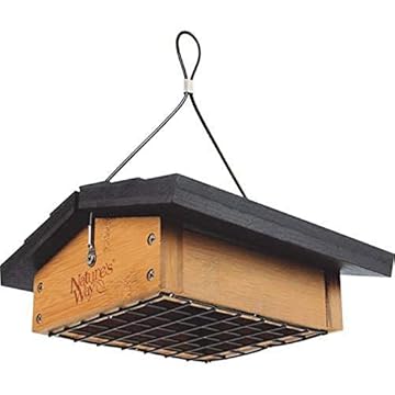 upside down bird feeder