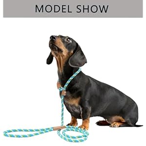 6 FT Slip Leads for Dogs No Pull Dog Training Leash Slip Leash Dog Lead Strong Dog Loop Leashes Colorful Braided Rope Dog Leashes Comfortable Dog Lead for Small Medium Dogs (Blue, 0.95CM)