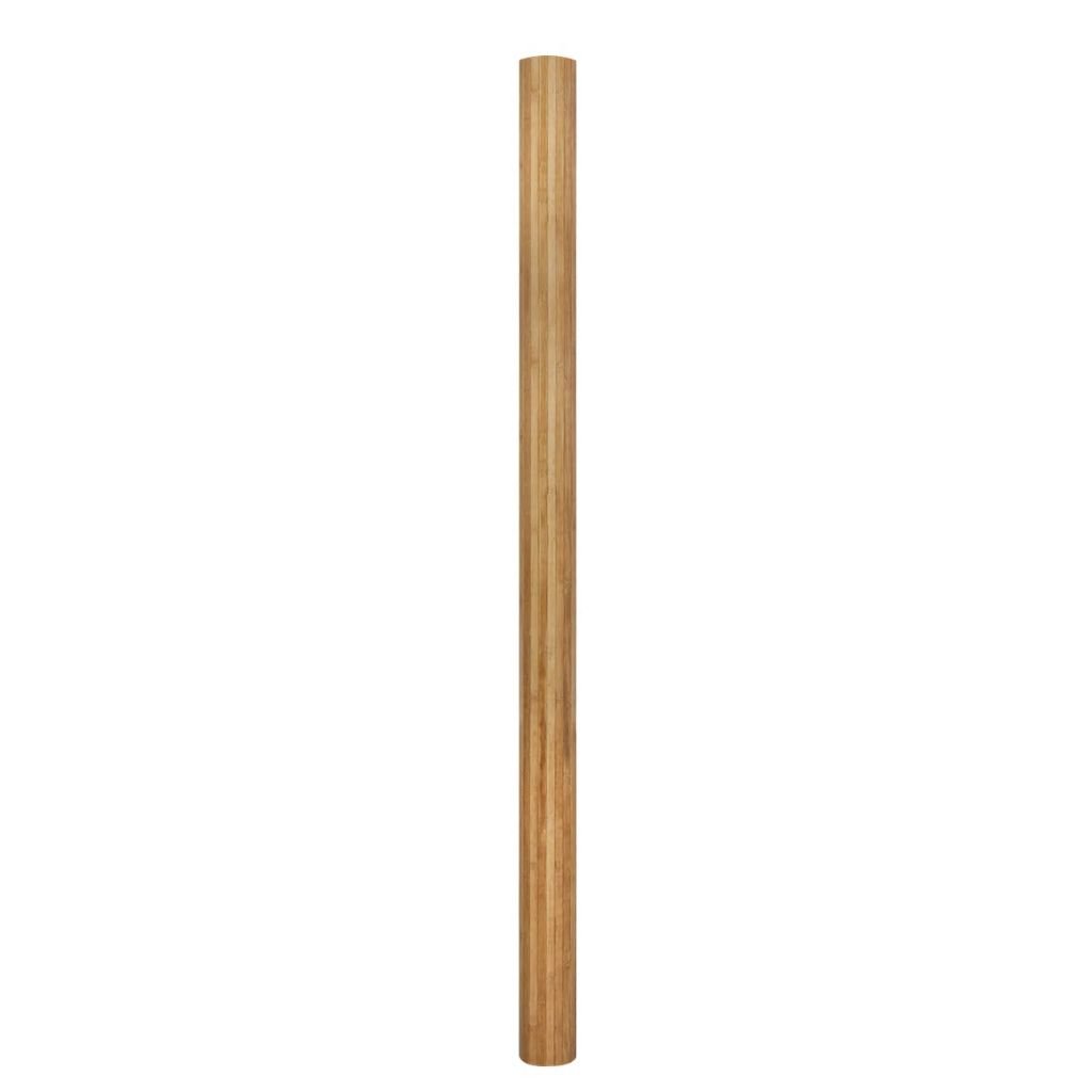 cactus living Rare Fishbone Cactus - Ric Rac Cactus main image 1