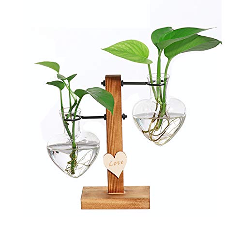 Feitore Plant Terrarium with Wooden Stand, Heart Shaped Glass Hydroponic Vases Modern Plant Propagation Station Desktop Planter Bulb Vase with Holder Home Garden Office Decoration