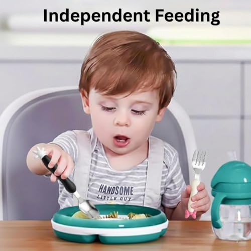 Image of Hian Baby Spoon and Fork Set, Stainless Steel Toddler Self Feeding Utensils with Travel Case, BPA Free Food Grade PP Handles, Kids Cutlery for 12+ Months Babies (Multicolor,Pack of 2)