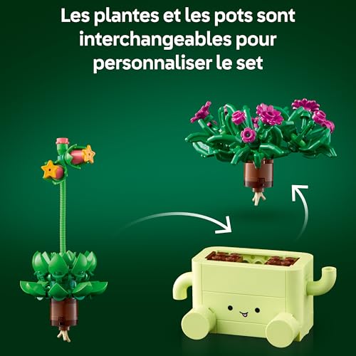 Petites plantes dansantes - vue 6