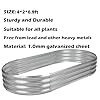 Colorfulbeetle Galvanized Raised Garden Bed Kit, 3Pcs 4ft Planter Raised Garden Boxes Outdoor, Oval Metal Raised Garden Beds for Vegetables #2