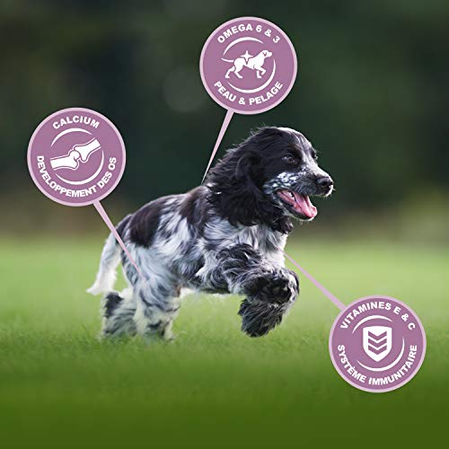 Eukanuba Chien Chiot Nourriture sèche Pour Moyenne Race Poulet 3Kg – Image 5