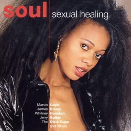 Sexual Healing / Various [Audio CD] Soul Diggaz; David Ritz; Buck Ram; Naomi Neville; Odell Brown; Hugh Hopper; James Brown; Marvin Gaye and Noël Coward