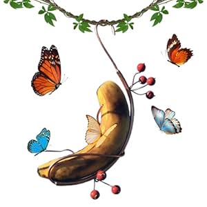 Q-Qingdian HDXJDC-528 Schmetterlings-Futterstation 1 Stück