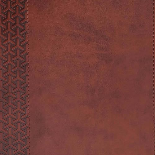 CSB Everyday Study Bible, British Tan Leathertouch: Black Letter, Study Notes, Illustrations, Aricle