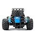 QIYHBVR 1:18 Pickup Truck 2.4G High-Speed Remote Control Car Climbing Car High-Speed Off-Road Vehicle Child Toy Car Child Gift