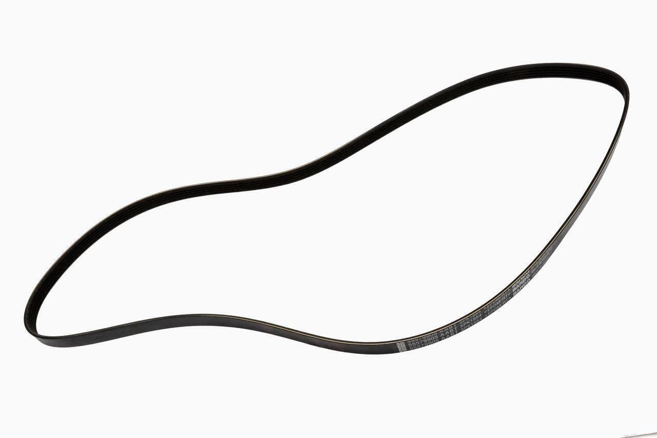 Amazon.com: General Motors 55579905, Serpentine Belt : Automotive