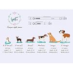 Metal Buckle Rose Collar - Durable & Cute for Small to Large Dogs - Image 6