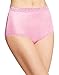 Hanes Women's Nylon Brief Panties 6-Pack