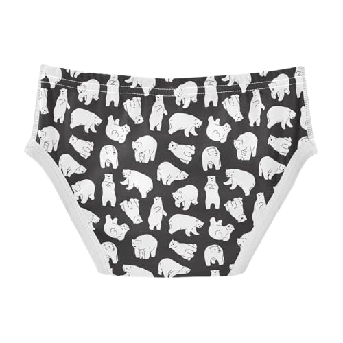 Little Boys Briefs Polar Bear Soft Cotton Toddler Underwear in Sizes 2/3t, 4t, 5t, 6 and 82
