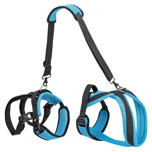 Sangle d'assistance pour chien âgé handicapé et sangle de soutien