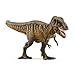 Produktbild SCHLEICH 15034 Tarbosaurus, ab 5 Jahren, Dinosaurs - Spielfigur, 8 x 30 x 13 cm