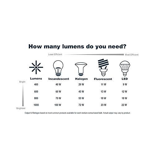 Home Decorators Collection Hb7086-260 Lamont 2-Light Chestnut Outdoor Flushmount #TOP2