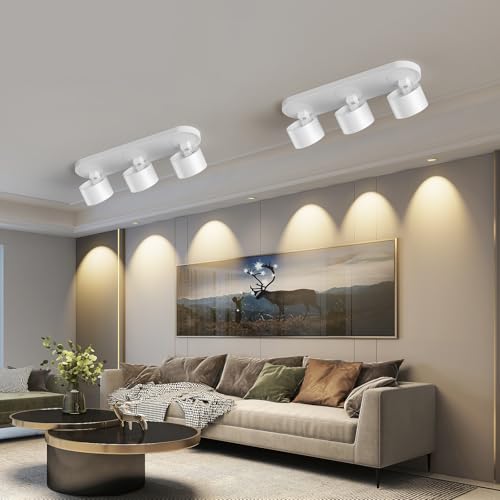Image of ziidoo Spotlight Indoor Ceiling LED Lights,36W Modern Spot Light Fixtures 4000K White Lamp 360Adjustable Picture Wall Sconce for Living Room Hallway Gallery Flush Mount Directional (mid, Count, 3)