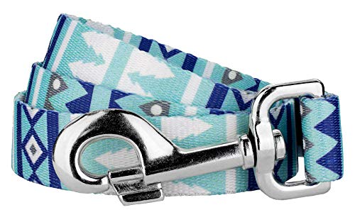 Country Brook Petz - Snowy Pines Dog Leash - Christmas Collection Featuring Festive Designs (6 Foot, 1 Inch Wide)