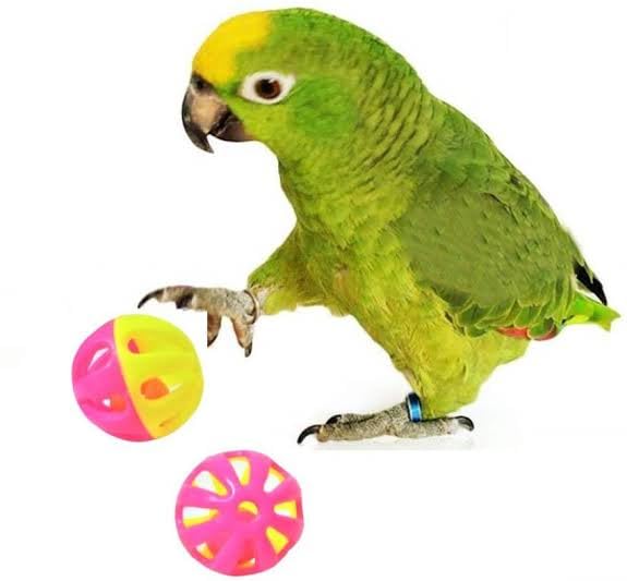 Pet & Vet Bird Interactive Bell Ball (Pack of 4 Pieces), Bird Toy with Rattler for Parakeet, Cockatiel, Budgerigar, Parrots, 1.5 Inches, Medium-image-17