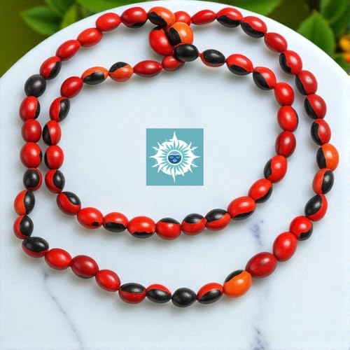 Collar de Peonia, Paeonia Santeria Ifa, Necklace Semillas de Peony Odi Bara Odun2