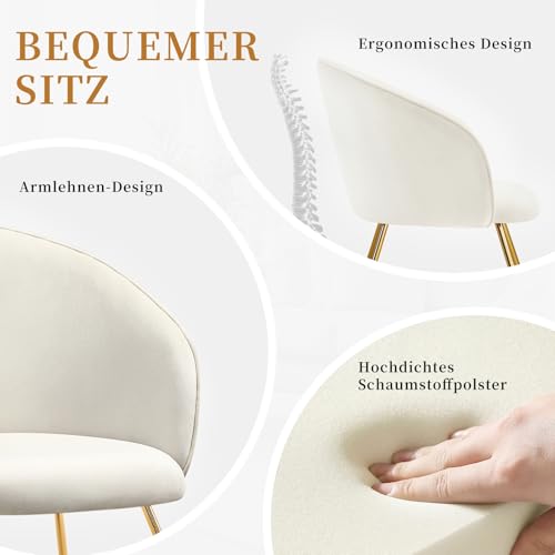 Hellove Silla para Tocador Maquillaje with Gold Metal Legs, Butaca Dormitorio con Respaldo Curvado, Silla Ocio, Sillón de Hogar Moderno, Tapizada Terciopelo para Sala de Estar/Salon, Beige - imagen 6
