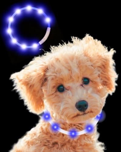 yb25N̏btďCzQbit LED  yybgɗDfށz  L   Cg  U USB[d Type-C ^ ^ ^ TCY߉\ (u[ 70cm)