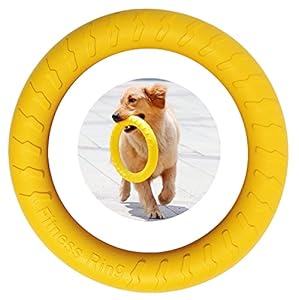 Mmsga Hunde-Fitnessring Agility Trainingsgerät 17CM