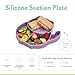 melii Divided Silicone Suction Plate for Babies and Toddlers – 100% BPA-Free, Dishwasher, Microwave Safe, Non-Toxic Baby Feeding Plate - Fits Most High Chairs, Age 6 Months - (Cat)