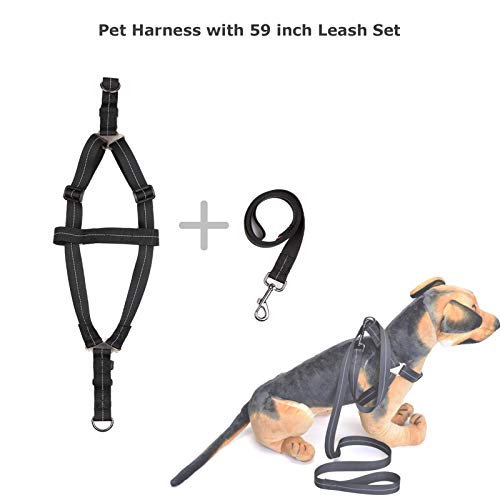 DECDEAL Arnês para animais de estimação OSOSE com conjunto de trela de 59 polegadas para andar à pro