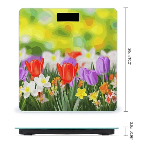 Báscula Digital de Baño Smart Scale FekiLoot miniatura 2