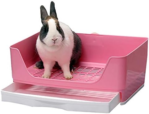 my cutia cat litter box