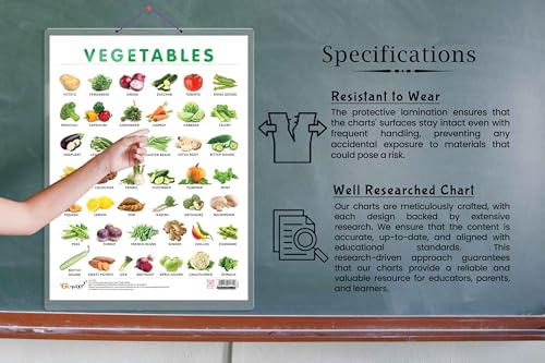 Image of VEGETABLE CHART HARD LAMINATED | inchColorful Garden Guide inch