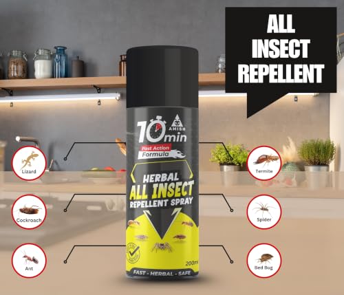 Image of Amish Aerosol All In One Insect Repellent Spray 200ml Pack Of 1 | nsect Control Spray |For Ant, Cockroach, Rat, Lizard, Bed Bugs, Spider, Fly, Centipede, Mouse, Bed Bugs 100% Natural