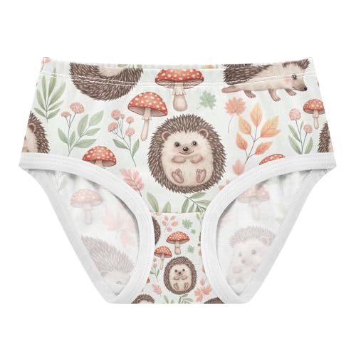 Cute Hedgehogs Poses Girls Briefs, Toddler Girl Panties, Cotton Underwear Girls, 2–8 Years
