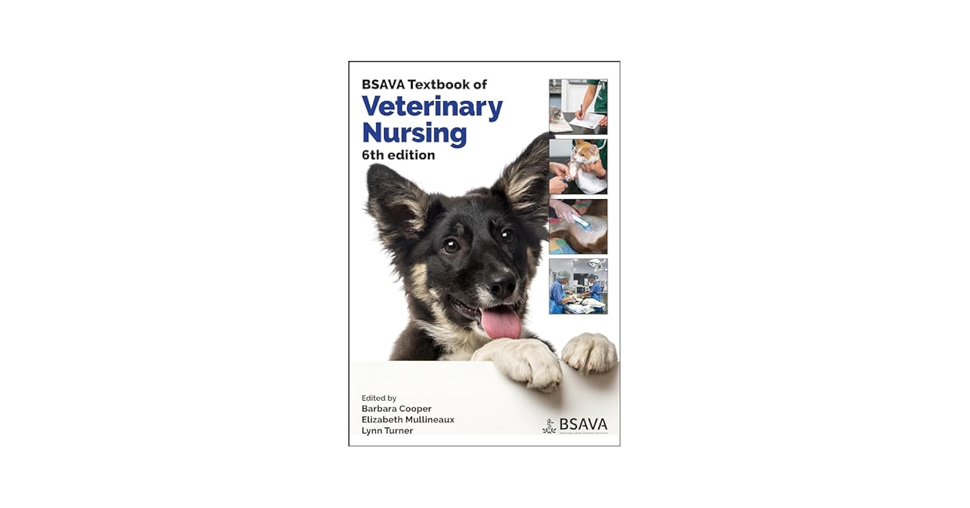 BSAVA Textbook of Veterinary Nursing (BSAVA British Small