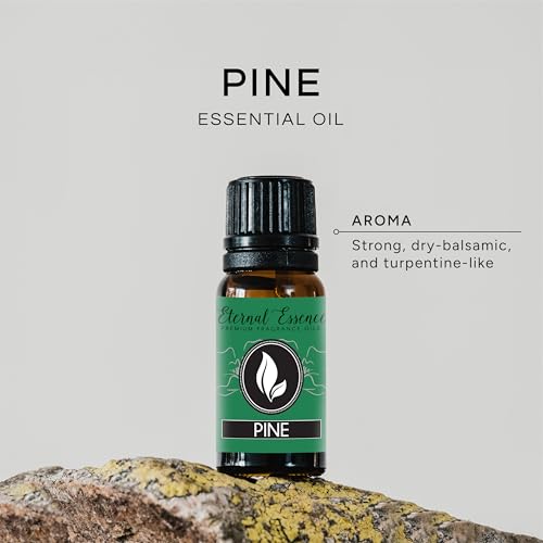 Image of Pine Needle Premium Grade Fragrance Oil - 10ml - Scented Oil
