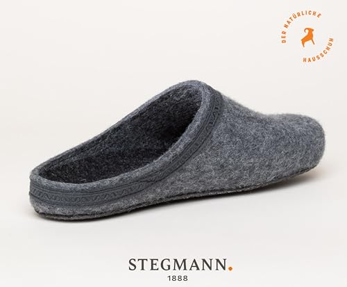 Stegmann 17827