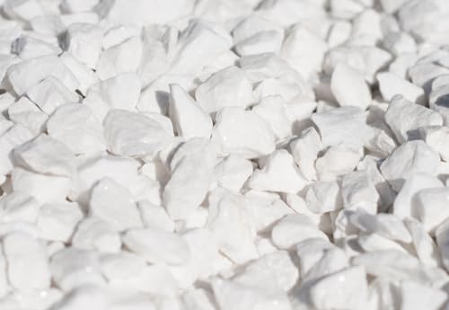 TODOSTONES Piedra Blanca Tipo Grava para Decoracion Jardin, macetas, jarrones o Plantas. (Blanco 8-12 mm, 5 kg)