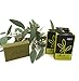 Produktbild ABEA® | 4er-Set grüne Olivenöl-Seife | 4x 125g (500g) | reine, vegane Naturseife | Spar-Pack 3+1 Stück | geeignet als festes Dusch-öl, Haarseife, Handseife und Dusch-seife ohne Palmöl