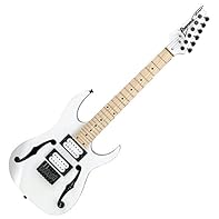 Ibanez Modelle E-Gitarren Gitarren We emphasise a balanced combination of careful workmanship and selected materials. OUR GOAL - Your satisfaction is our top priority and takes centre stage.