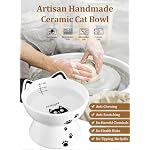 Porcelain Raised Cat Bowl, No Spill Cat Water Bowl with Anti Slip Band, Elevated Porcelain Pet Bowl Protect Pet's Spine, Large Capacity Pet Water Bowl, 15 oz, Dishwasher Safe - Image 6