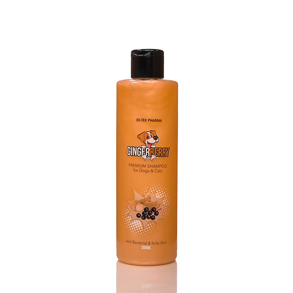 ALL4PETS Ginger Berry Dog Shampoo 200ML (B0953TZ9SY) Amazon Price History, Amazon Price Tracker
