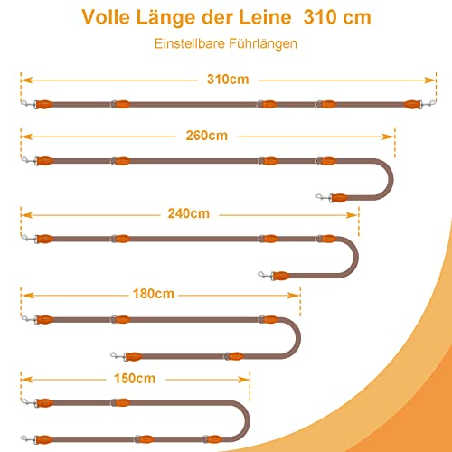 Hundeleine Doppelleine für Kleine Mittelgroße Hunde Führleine 3m Verstellbar mit 2 Karabiner Leine Hund Übungsleine Dog Lead Multifunktionale 3 Meter lang x 1,0 cm Braun