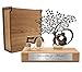 Imagen de 50 Aniversario Bodas Oro -Regalos 50 Aniversario Boda- Figura Decorativa en Acero Inoxidable y Madera de Haya con Estuche de Madera de Lujo- Regalos para Bodas de Oro